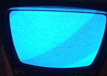 Telewizory czarno białe