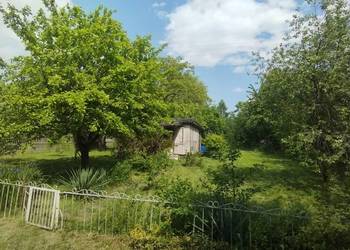 Działka ROD Łódź Dąbrowa
