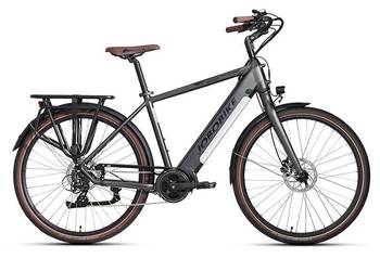 Rower elektryczny Jobobike Henry