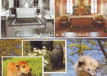 K. Poczt. Kurozwęki  - widoki  **    2 poz.