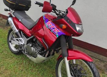 Kawasaki KLE 500