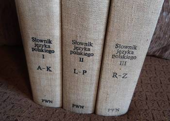 PWN 3-tomowy słownik języka polskiego.