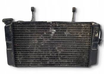 CHŁODNICA WODY WENTYLATOR Suzuki DL 1000 V-Strom DL1000 02-09 klakson