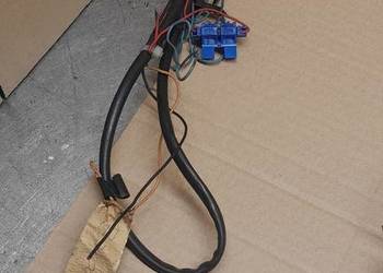 Odstraszacz na kuny I szczury myszy