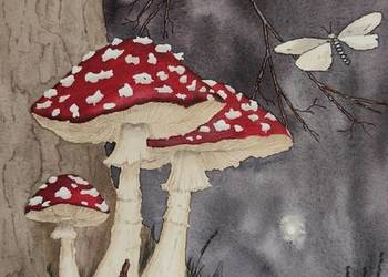 Akwarela Akwarelka Obraz pt: Muchomorki