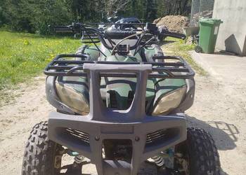 Bashan 200