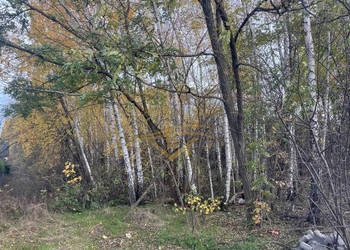 Działka Książenice 4046m2 Działka Książenice 4046m2