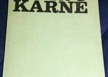 Prawo karne - Witold Świda