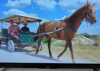 Telewizor JVC 24” Idealny stan Okazja