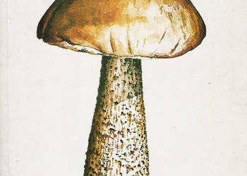 grzyby leśne - A. Grzywacz