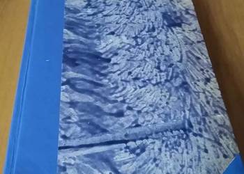 Rachunek operatorów w przestrzeniach liniowych / Ryszard Bittner