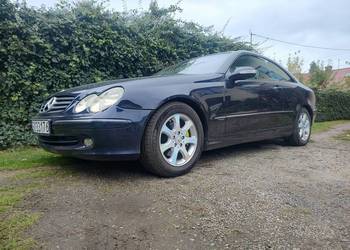 Mercedes CLK W209