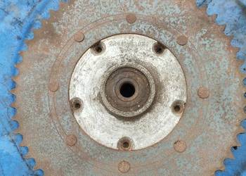 WSK ZEBATKA TYŁ SPORT