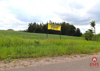 Grunt 9000m2 Rożyńsk Wielki