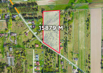 Duża działka 1,5 ha pod dom lub stadninę Jadwinin