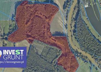 [5,26 ha] stawy rybne, przetarg na dzierżawę