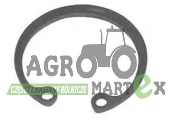 DL100 PIERŚCIEŃ SEGER 55x2 AMAZONE