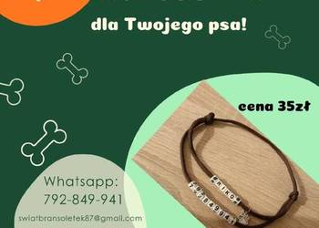 Adresówki dla zwierząt