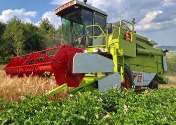 Claas dominator 66