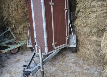 klacz, przyczepa konna