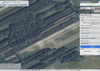 Łąka i las na sprzedaż (Boczkowice, gm. Włoszczowa)