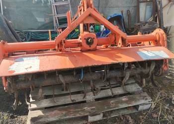 Glebogryzarka japońska