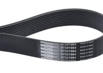 Pas wielorowkowy 10pk2562