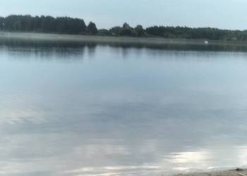 Dzialka nad jeziorem Głuszyńskim