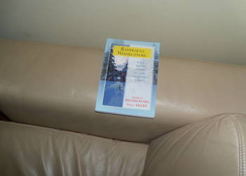 Radykalna wdzięczność Andrew Bienkowski