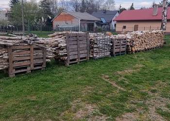 Drzewo opałowe brzoza