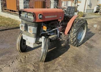 Massey Ferguson 130 sadownik traktorek
