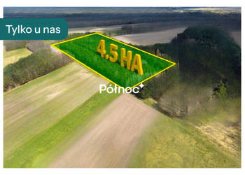 Działka leśna 4,4,7 Ha w Elżbiecinie gmina Kodeń