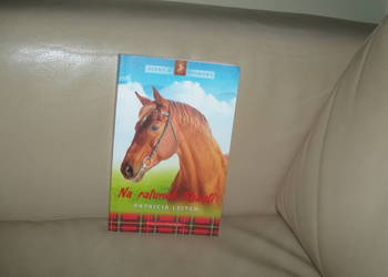 Na ratunek Shanti Jinny z Finmory Patricia Leitch