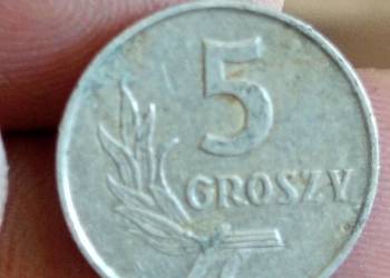 Sprzedam 5 groszy 1962 rok
