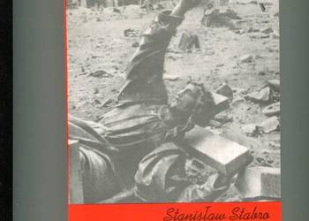 Chwila bez imienia - Stanisław Stabro