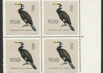 POLSKA - KOROMORAN - 1960 - CZWÓRKA - CZYSTE **