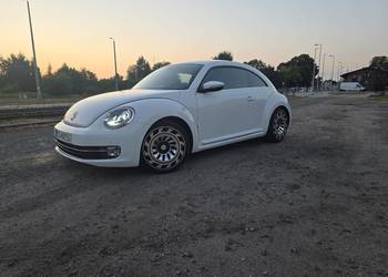 Beetle