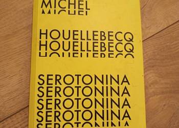 Michel Houellebecq - Serotonina