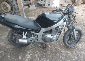 Suzuki Gs-500 . 2003 rok