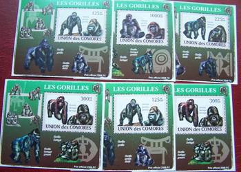 Komory 2009 MNH Fauna Goryle Nakład 2500 szt