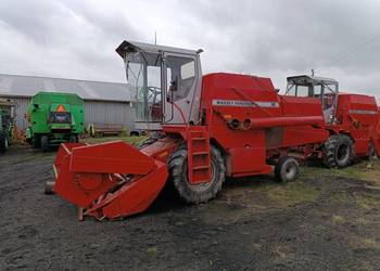 Massey Ferguson 16 z kabina i sieczkarnia