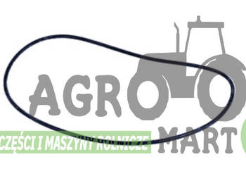 272712, 238-5259, S6349, 69924C92, 69924C91, 3061207R1, 1014697C1 ORING CNH