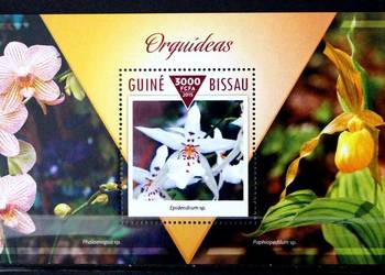 Gwinea Bissau ( storczyk)