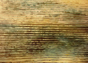 Sprzedam obraz. 100x120 cm. olej, płótno