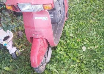 Skuter honda lead 86r