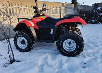 Quad Linhai Hytrack 300 z homologacja l7e