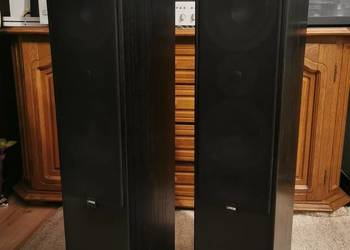 Kolumny Canton ergo 700 DC