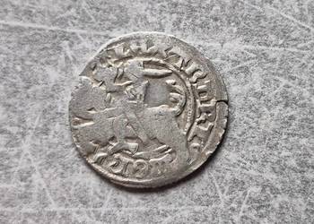 47-48) Zestaw 2 monet - Półgrosz - A. Jagiellończyk