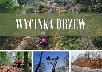 WYCINKA DRZEW + ODKUP DREWNA + DOKUMENTACJA GRATIS | Woodfast