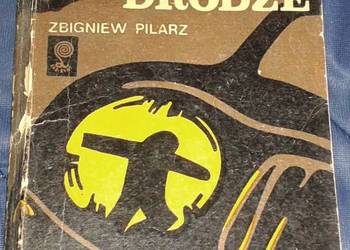 Śmierć na drodze - Zbigniew Pilarz